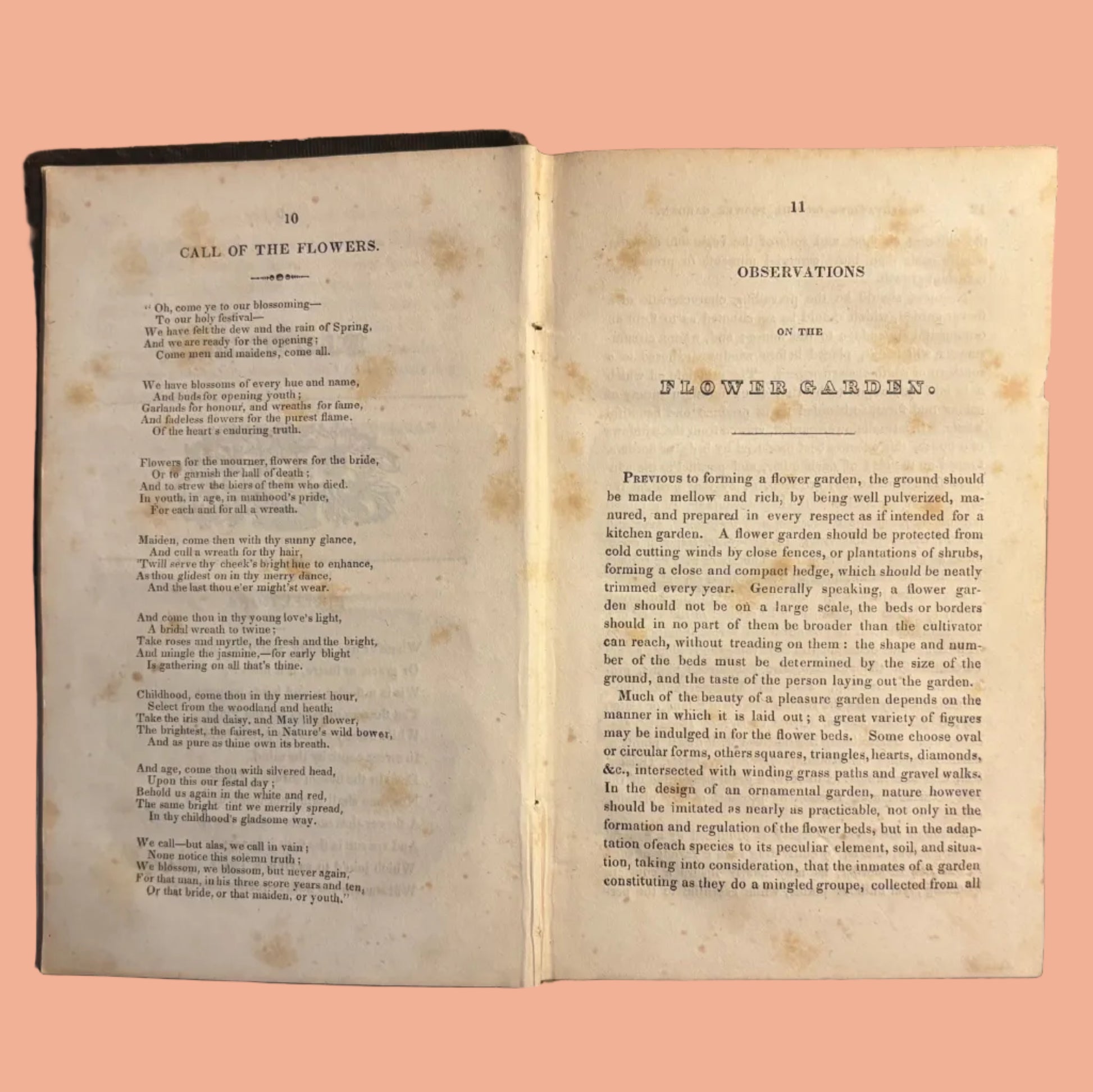 Open Bridgeman's Florist Guide with text on a textured surface