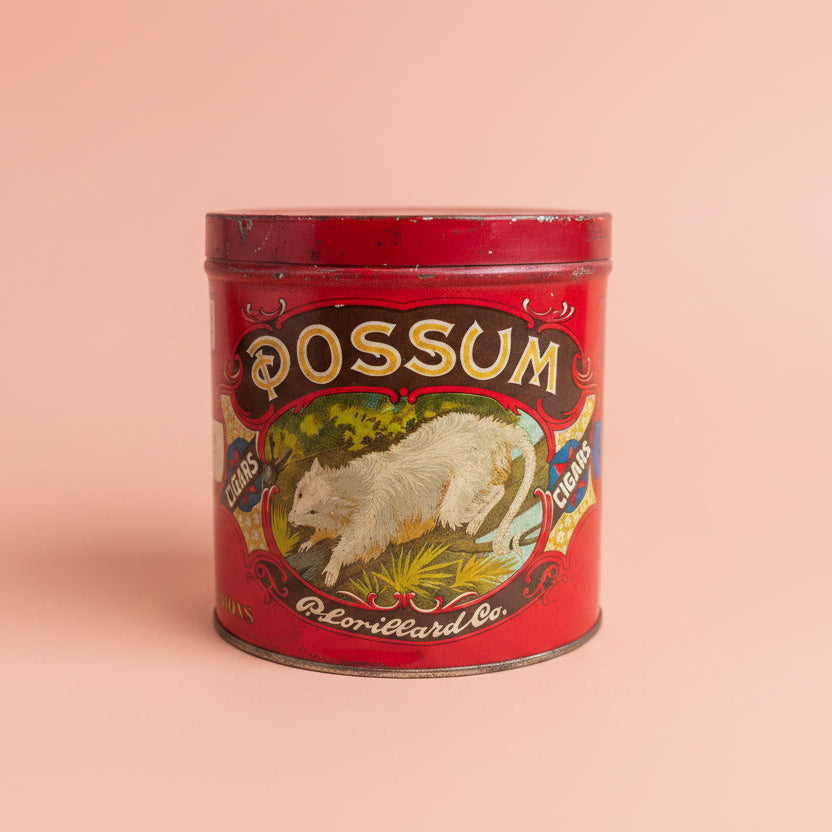 vintage possum cigar tin