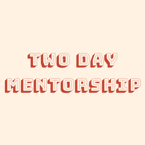 Two day mentorship with Heather Hyde Mayesh Design Star 